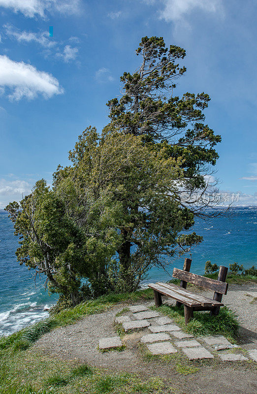 阿根廷Bariloche, Nahuel Huapi湖旁的木凳